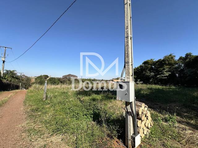#151 - Chácara para Venda em Toledo - PR - 2
