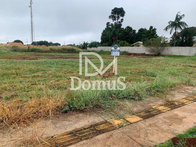 #289 - Terreno para Venda em Toledo - PR
