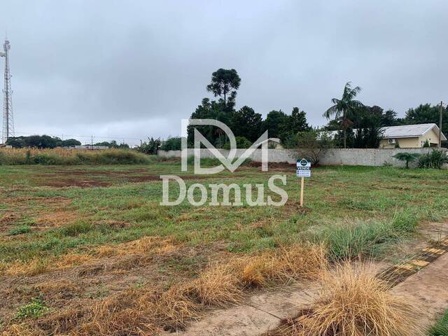 #289 - Terreno para Venda em Toledo - PR - 2