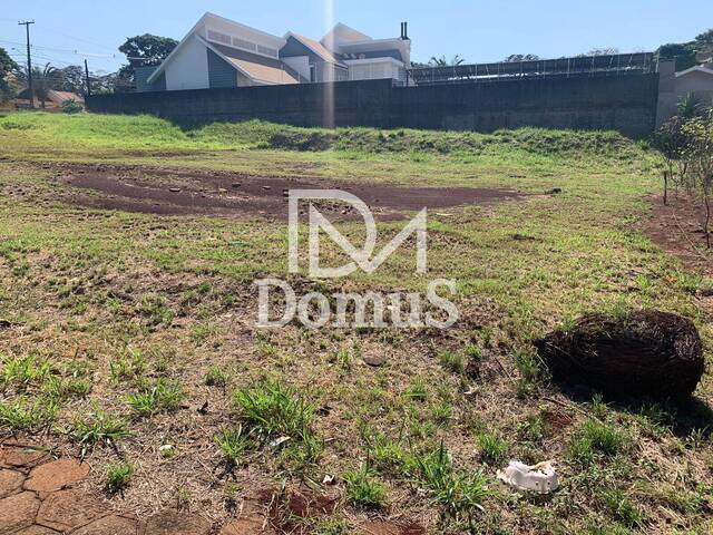 #381 - Terreno para Venda em Toledo - PR - 2