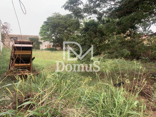 #421 - Terreno para Venda em Toledo - PR - 2