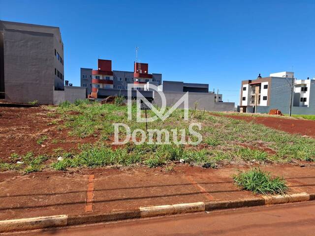 #560 - Terreno para Venda em Toledo - PR - 1