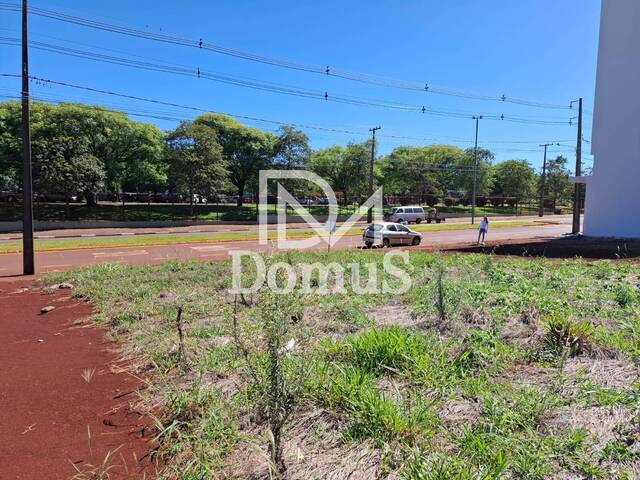 #560 - Terreno para Venda em Toledo - PR - 2