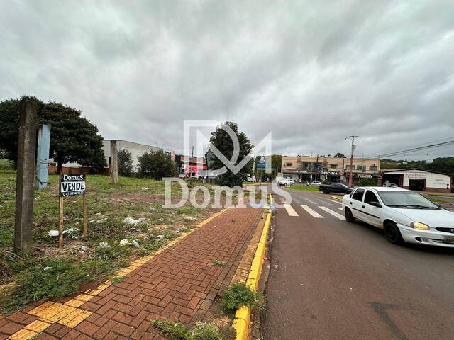 #735 - Área para Venda em Toledo - PR - 3