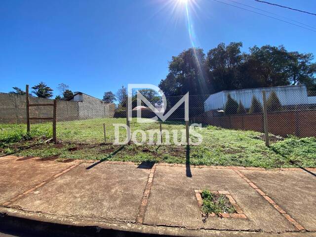 #809 - Terreno para Venda em Toledo - PR - 1
