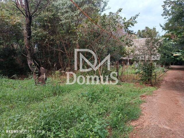 #856 - Área para Venda em Toledo - PR - 1