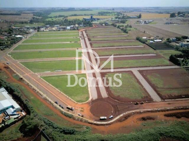 #702 - Terreno para Venda em Toledo - PR